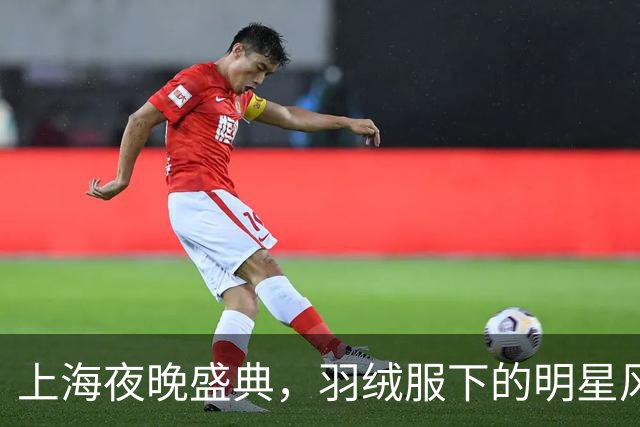 上海夜晚盛典，羽绒服下的明星风采