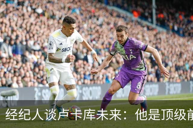 经纪人谈卢卡库未来：他是顶级前锋，那不勒斯不应全怪他